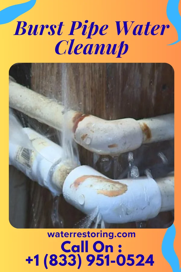 Burst Pipe Water Cleanup in Holiday City South, NJ