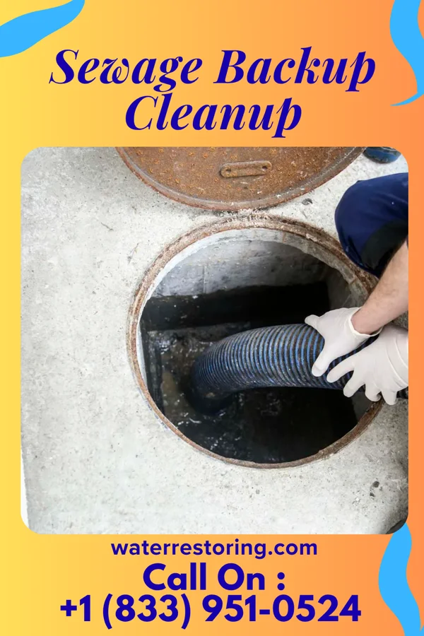 Sewage Backup Cleanup in Holiday City South, NJ
