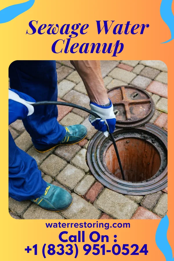 Sewage Water Cleanup in Holiday City South, NJ
